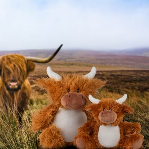 Zippie highland cow