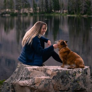 Women?s Narvik hybrid jacket