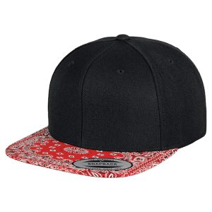 Fashion print snapback (6089DESIGNER)